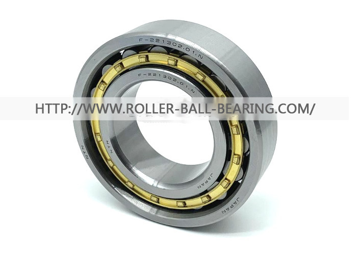 F-221302.01.N NTN Bantalan Rol Silinder F-221302 F 221302 1 55x104x27 Mm