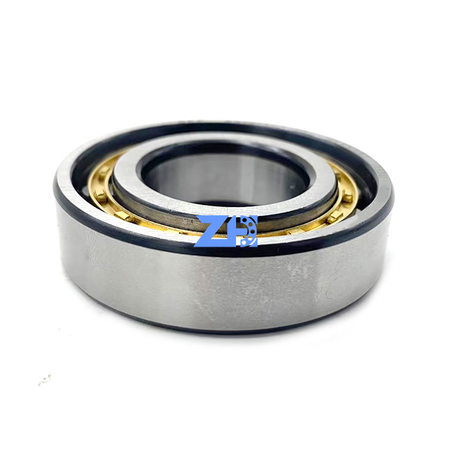 RN206ECM Bantalan Rol Silinder 30 * 55.5 * 16mm bantalan rol silinder baris tunggal yang tahan pakai