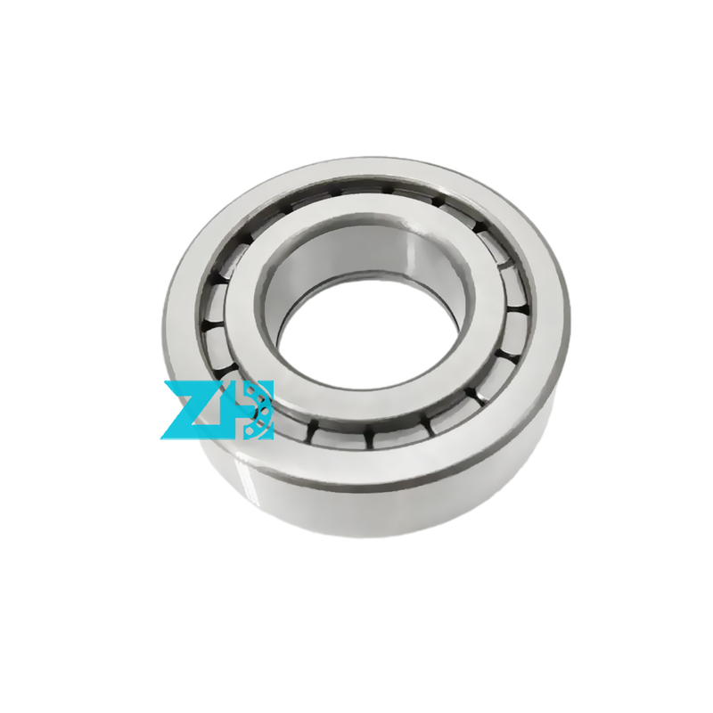 F-203740 bantalan pompa hidrolik 25x54x21mm bantalan rol silinder baris tunggal F-203740